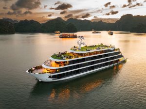 Venus Cruise: Ha Long - Lan Ha - Viet Hai in 3D2N